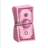 ضامن میخوام