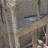 قفس مرغ