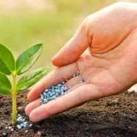 برند ثبت شده کود کشاورزی