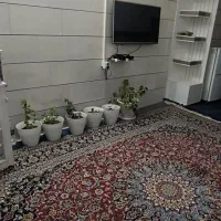 سوییت روزانه.هفتگی.