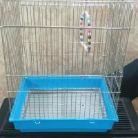 قفس پرنده|لوازم جانبی حیوانات|تهران, باغ خزانه|دیوار