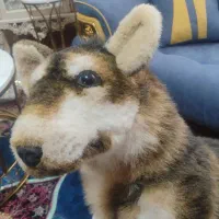 سگ عروسکی|اسباب‌‌بازی|زنجان, |دیوار