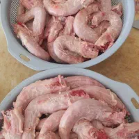 گردن بدون پوست اسکلت مرغ