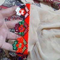 دسته ماهی  به پولش خیلی نیازم کسی کریشی داره