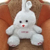 عروسک با قیمت مناسب