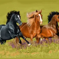 کارگاه کارافرین