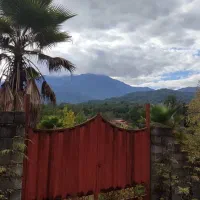 430-متر-زمین-سند-تک-برگ-مسکونی-تنکابن