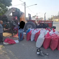 خدمات بوجاری سیار گندم و جو