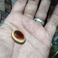 سنگ انگشتر|کلکسیون اشیاء عتیقه|اصفهان, گلزار|دیوار