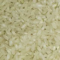 برنج کامفیروزی درجه یک و تازه