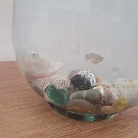 آکواریم و پمپ|ماهی|گلبهار, شهر جدید گلبهار|دیوار