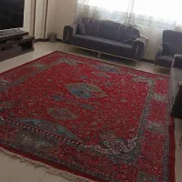 قالی ۱۲متری کرمانشاهی|فرش|شیراز, شهرک فرزانگان|دیوار