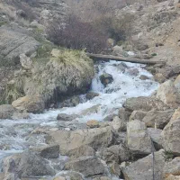 نیازمند اهدایی تخمک به بالاترین قیمت