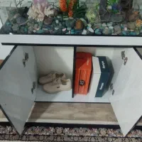 آکواریوم|ماهی|کرج, خرمدشت|دیوار