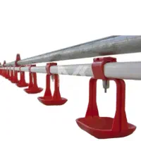 نصب و فروش تجهیزات مرغداری نقد و اقساط|عمده‌فروشی|همدان, |دیوار