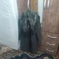 یک عدد پالتو در حد نو به فروش میرسد