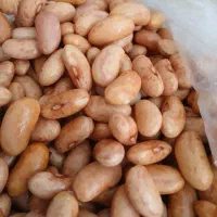 لوبیا چیتی|خوردنی و آشامیدنی|تهران, افسریه جنوبی|دیوار