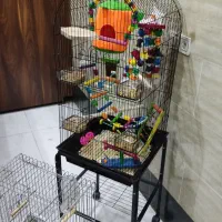 قفس پرنده