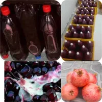 فروش رب انار وآب انار خالص وارگانیک