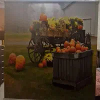 پرده اشپزخانه