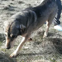 گمشده جایزه 5 ملیون نقد