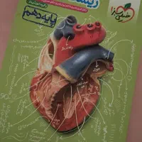 زیست خیلی سبز