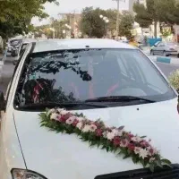 تیبا یک دوگانه کارخانه