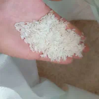 برنج ایرانی یک دست خوشپخت به پول برنج محسن میدم