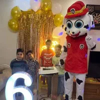 تن پوش عروسکی جهت مراسم تولد بهمراه گریم کودک|خدمات پذیرایی، مراسم|اراک, |دیوار