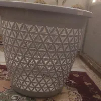 سبد
