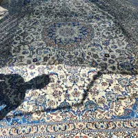 استخدام کارگر ساده در محدوده اشکاوند و اصفهانک|استخدام سرایداری و نظافت|اصفهان, بهارستان|دیوار