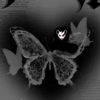 پنل و سنس فیری فایر