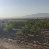 ملک معاوضه|فروش زمین و ملک کلنگی|ساوه, |دیوار