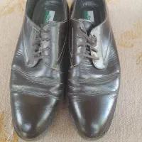 کفش مجلسی اورجینال