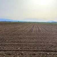 فروش زمین کشاورزی ۱۰۰۰ متری در دیزج حسین‌بیگ