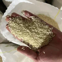 برنج عنبربو درجه یک معطر امسالی سبز و سفید