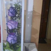 گل رز بنفش زیبا|گل و گیاه طبیعی|تهران, شهرک چیتگر|دیوار