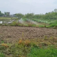 فروش زمین/۸۰۰۰متر/مناسب باغ کیوی و سوله/کانرود|فروش زمین و ملک کلنگی|آستارا, |دیوار