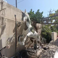 مجسمه اسب