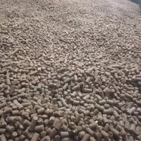 کنجاله‌کلزا خوراک سویا سبوس نهاده دامی