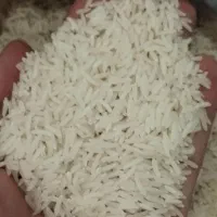 برنج فجر