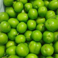 نیازمند حسابدار کار بلد برای شرکت خصوصی کشاورزی