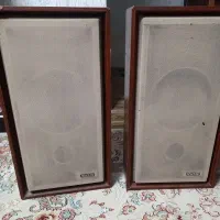 اسپیکر وینتیج ریزینگ ژاپن