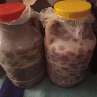 خرما شیره ای ربی فقط ی عدد موجوده ۲۵۰۰