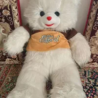 خرس شاسخین درحدنو