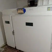 دستگاه جوجه کشی جویبار