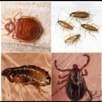 فروش سموم ویژه