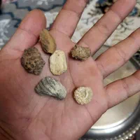 شهاب سنگ|کلکسیون اشیاء عتیقه|شیراز, هفت تنان|دیوار