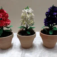 گل شب بو مناسب  سفره هفت سین  و عید