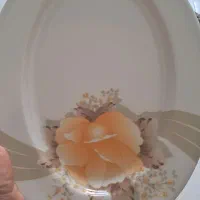 آبچکان رومیزی میزی و۲عدد دیس ملامین|آب‌چکان و نظم‌دهنده ظروف|کرمانشاه, |دیوار